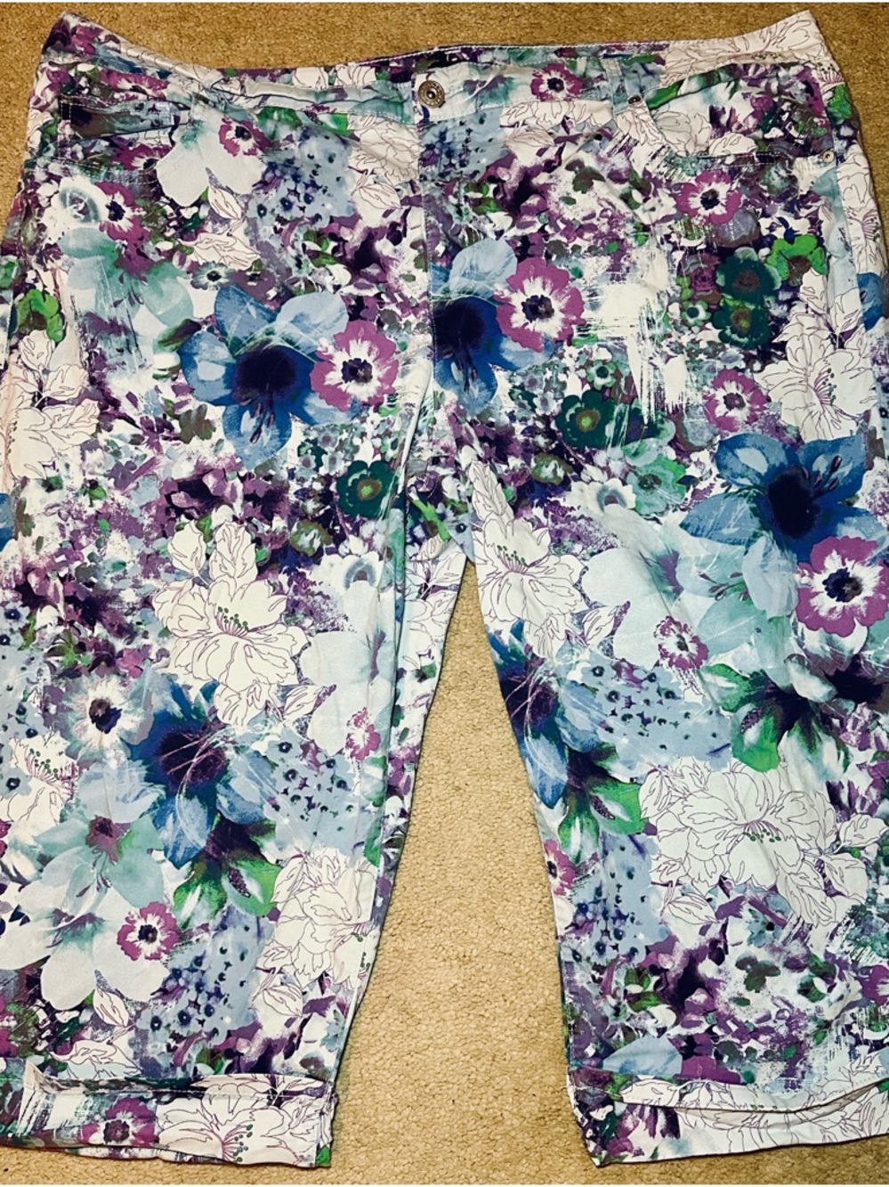 Bandolino Floral Bermuda Shorts Capris 24W Blue Purple Stretch Mid Rise